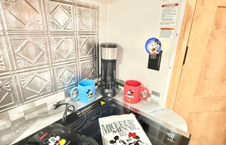 Luna the Leprechaun -2021 Coachmen RV Leprechaun