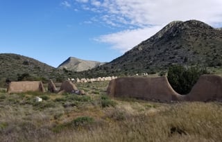 4WD All-Season "Judy" UNLIMITED MILES + Starlink