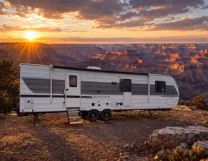 Forest River RV Salem 29BDB