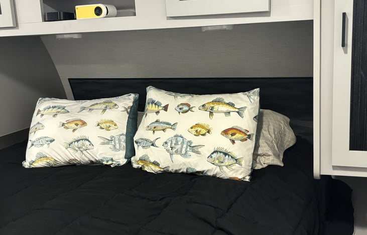 Very Comfortable King Bedroom with Projection