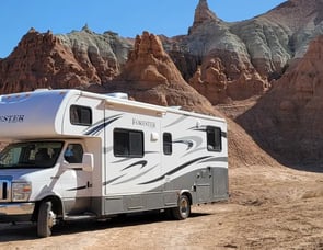 Forest River RV Forester 3171DS Ford