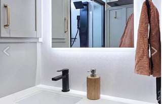 NEW LUXURY TRAILOR - BRINKLEY MODEL Z AIR 295