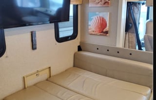 2020 Thor Motor Coach ACE 30.2