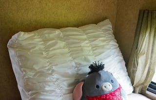 2011 Skyline Nomad Joey