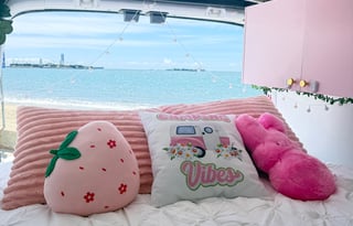 Luxury Camper Van | Cozy Adventure| AC
