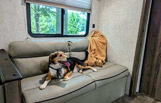 2021 Enlighten Easy to tow!