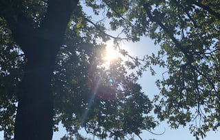 SUMMER SPECIAL-Your Comfortable Glamping Solution!