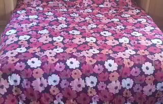 2006 Sunline Trans-sport