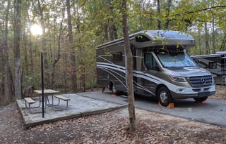 2024 Bookings- Goldie20