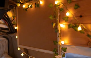 “The Bear Den” Camper Van Conversion