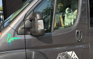 Rize & Shine Pet Friendly, Adventure Ready!
