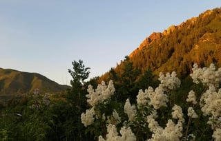 4WD All-Season "Jane" UNLIMITED MILES + Starlink