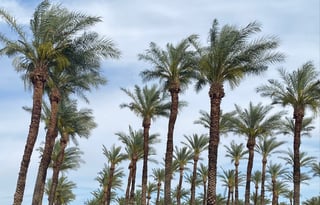 2021 Tiffin Motorhomes Open Road Allegro 32 SA