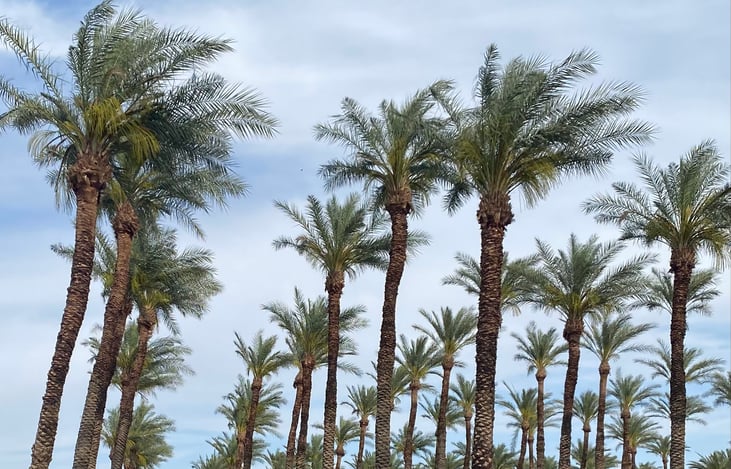 Easy hook up electric level and stabilizers