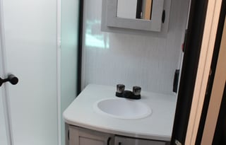 Flight of Fancy: Mallard Escapades Await!