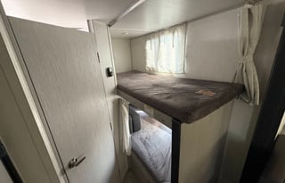 Serenity Falcon - 2024 Forest River IBEX