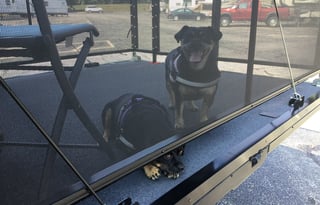 2018 Newmar Canyon Star 3924