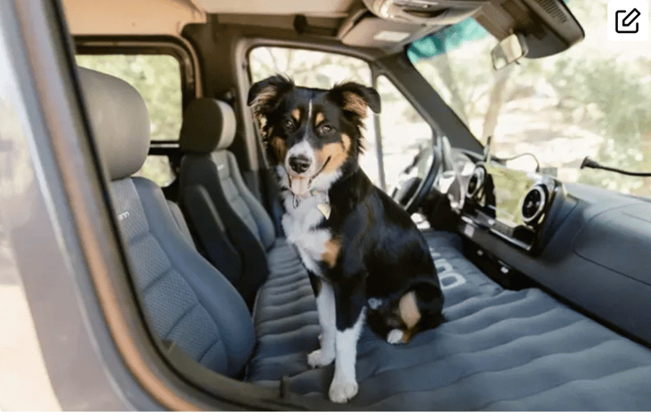 Blow up Mattress is pet friendly