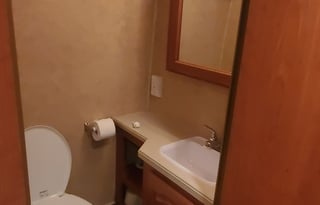 2010 Forest River RV Lexington 295DS