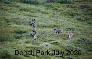 Alaskan Prospector 31J Winnebago.