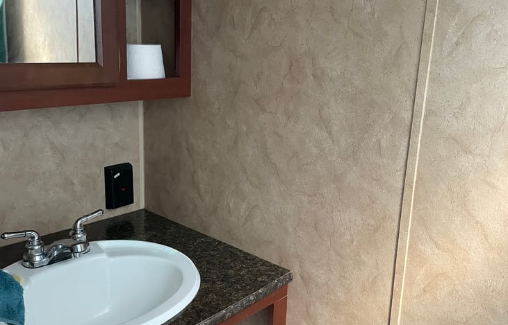 bathroom sink with flush toilet