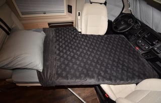 Banyans - (Kona - The Big Island)