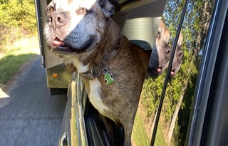 2015 Cruiser ViewFinder Signature VS-19FK