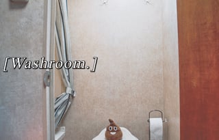 2017 Forest River RV Salem Cruise Lite FS 195BH