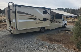Curly - Winnebago ready for adventure!