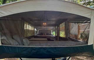 The Bear Necessities