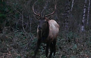 "Bunny," is a 2020 Thor Motor Coach, SUPER CLEAN!!