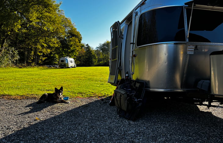 Boon docking with the doggos.