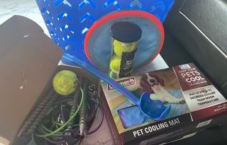 2021 Dutchmen RV Coleman Lantern LT Series 214BH