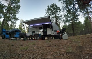 Montana's Best Micro Minnie