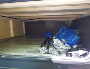 Forrest river Wolf pup