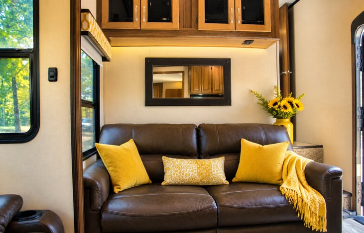 Living Area W/Fold-Out Couch