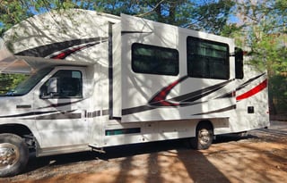 The Enchanted Fig-Delivery Only. Set up included.