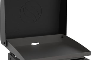 Thor Sequence Van w/Skybunk and sleeps up to 5