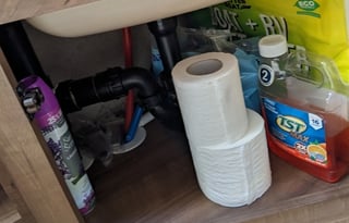 Chloe and Dylan's Florida RV getaway