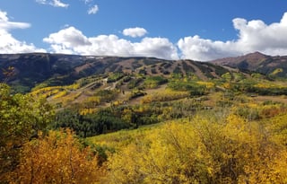 4WD All-Season "Judy" UNLIMITED MILES + Starlink