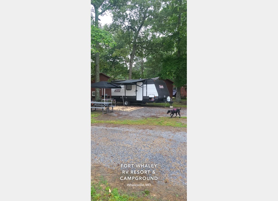 Travel Trailer rentals in Belvidere