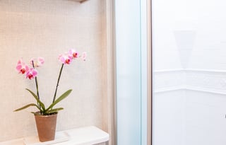 Luxury 2022 Thor Motor Coach Windsport 34J