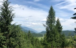 Airstream Luxury Our Place or We Deliver Anywhere!