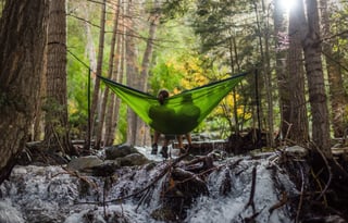 " The Butler" 2019 Coachmen RV Galleria 24T