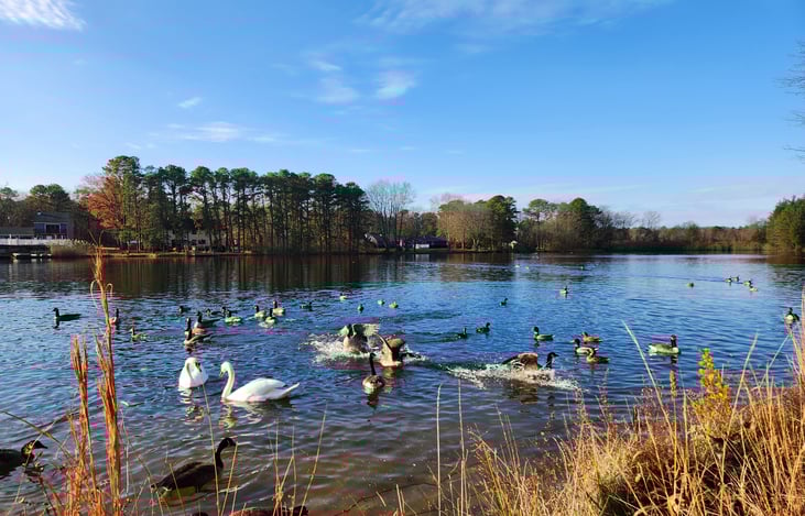 Lakefront view at lakeside RV rental site