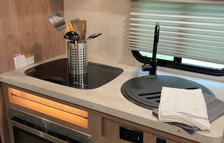 2020 Forest River RV No Boundaries NB19.3