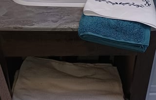 2021 Forest River RV Salem 29VBUD