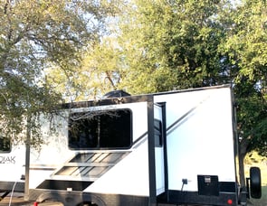 Dutchmen RV Kodiak Ultra-Lite 250BHSL