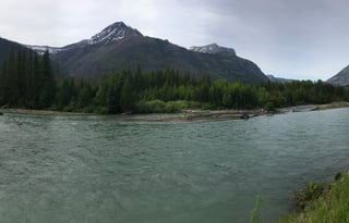 NEW 22022 Renegade Vienna 25rmc