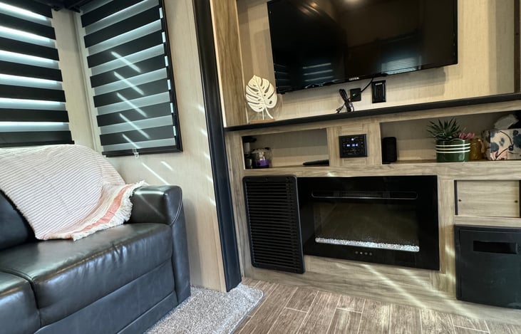 Television and fireplace